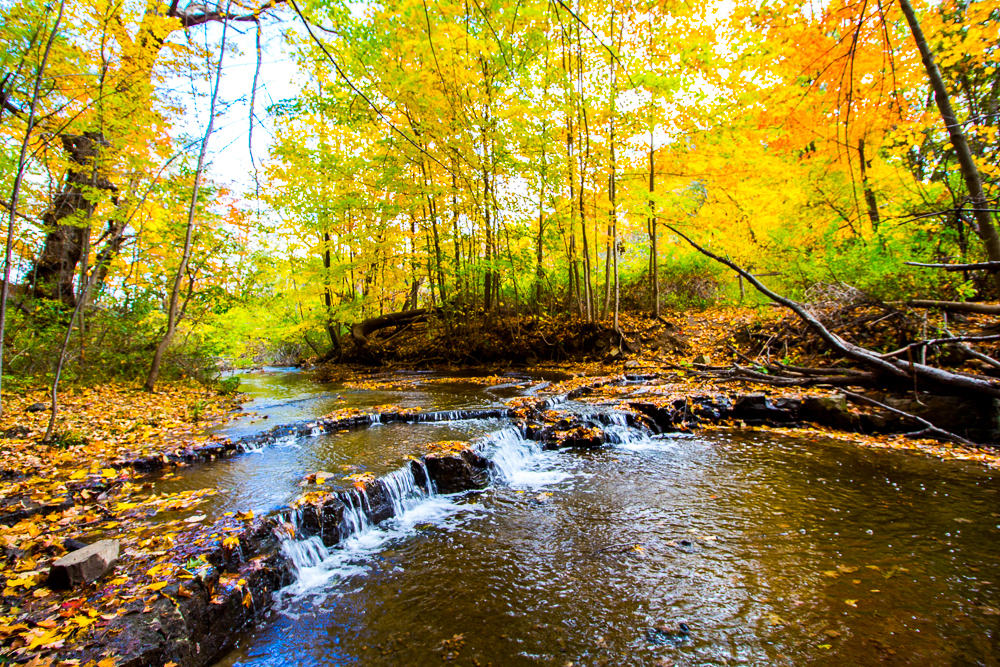 Collection of My Favourite Photos